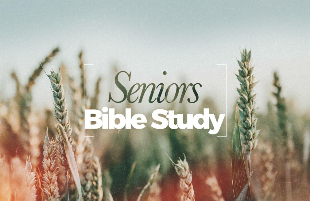  A New Bible Study for Seniors